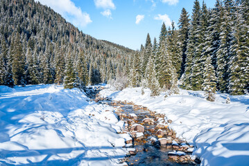 Creek winding its way through a snowy forest in the Alps on a sunny winter day