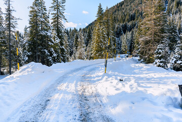 Fototapeta na wymiar Deserted snow covered winding back road through a snowy forest on a sunny winter day