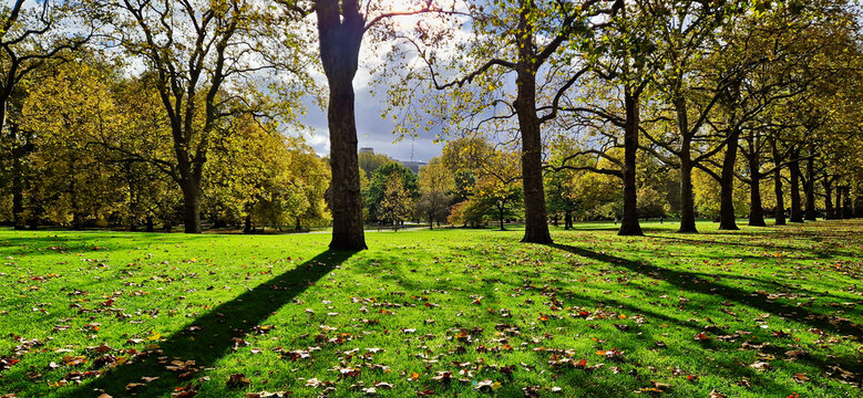 Parque en Londres