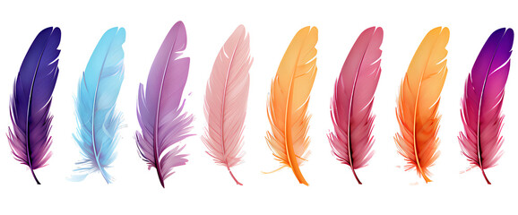 Collection of colorful feathers on transparent background PNG - obrazy, fototapety, plakaty
