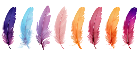 Fotobehang Boho dieren Collection of colorful feathers on transparent background PNG
