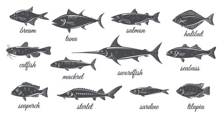 Freshwater and marine silhouette fishes. Fish vintage silhouettes, catfish halibut tilapia salmon mackerel tuna bass sardine swordfish sterlet bream etching seafood menu neat icons - obrazy, fototapety, plakaty