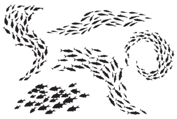 Fotobehang School fish silhouette. Group sea shoal small fishes swim in circle, shoaling and schooling ocean life, underwater ecosystem deep marine animals, plenty tuna, set black neat icons © ssstocker