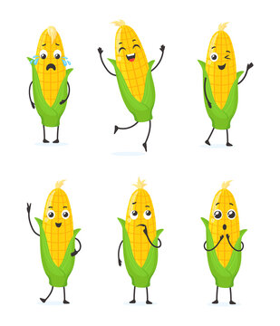 Maize emoji. Cartoon cute corn character, funny corncob emoticons collection sad smile cheerful love surprised sweetcorn, health vegetable food cob plants, neat png illustration