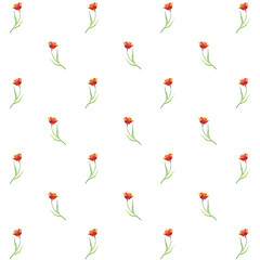 Fototapeta na wymiar Watercolor red tulips seamless pattern. Hand drawn illustration with colorful spring flowers for textile design or wrapping paper. Texture for print on isolated background. Floral print for wallpaper