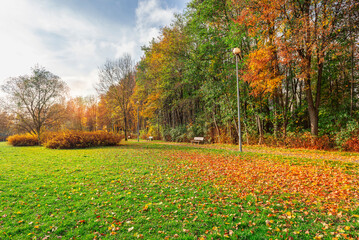 Naklejka premium Benches in autumn park