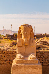 Alley of Sphinxes near Luxor Temple.