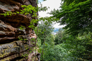 Rocky slope with uneven wall, trees with green foliage on valley in background, mountain in Teufelsschlucht nature reserve, grooves of different shapes of erosions, sunny day in Irrel, Germany