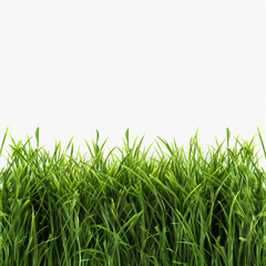 Natural background with young lush green grass in sunlight with beautiful bokeh. AI Generation