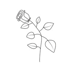 Vector hand drawn illustration  continuous rose flower one line art
