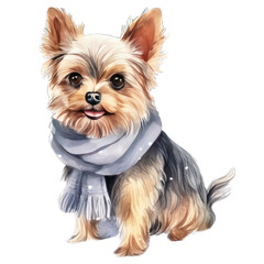 Cute yorkshire terrier puppy, dressed in a winter scarf, isolated on white transparent background