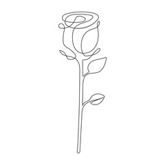 Vector hand drawn illustration  continuous rose flower one line art
