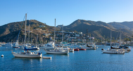 Fototapeta na wymiar yachts on the roadstead in the bay of Avalon on Catalina Island, California