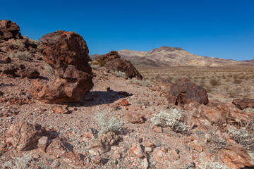 Stone desert on the background of mountains, California, Death Valley National Park