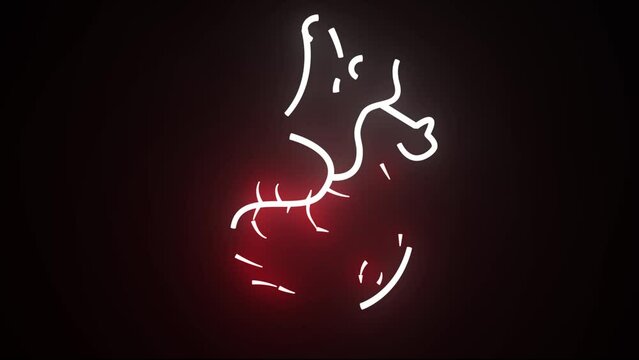 Colorful neon line Human organ heart icon isolated on black background. Neon medical animation - Liver. Motion graphic animation 4k