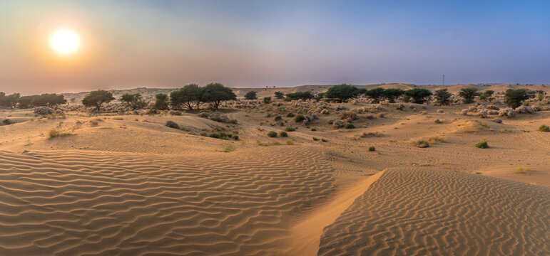 View during sunrise at great thar desert in Jaisalmer, Rajasthan, India.