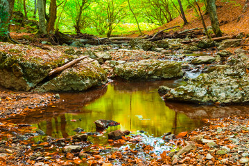 small brook rushing in mountain canyon among red dry leaves