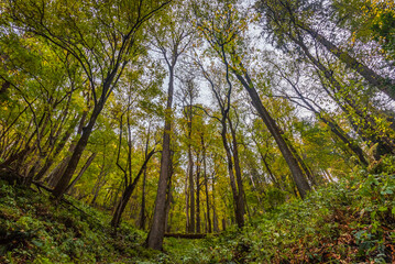 View enroute to Har Ki Dun or the Valley of Gods is located in Garhwal Himalayas of Uttarkashi district of Uttarakhand at 3500 meter. It is one of the most gorgeous river valley treks in India.