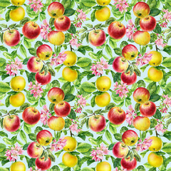 Apple Seamless pattern. Botanical painting watercolor illustration. Branch with apple fruits, leaves, flowers