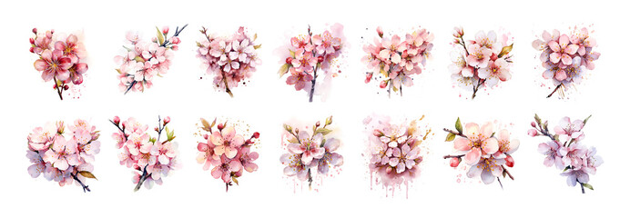 Watercolor illustration cherry blossom sakura isolated branch - obrazy, fototapety, plakaty