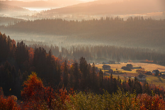 Fototapeta Krajobraz jesienny w Beskidach. Mgliste góry o świcie. Relaks, wypoczynek i pastelowy wschód słońca.