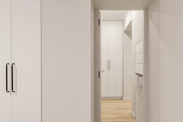 Minimalistic interior with white wooden cabinets, hidden chest of drawers and wooden flooring