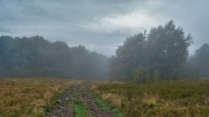 The dirt, rocky road leads into thick fog. Autumn fog in the countryside
