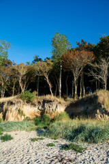Fototapeta na wymiar Steep coast with erosion on the island of Poel on the Baltic Sea, Germany