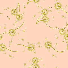 Obraz na płótnie Canvas Dandelion background your design. Abstract floral seamless pattern.