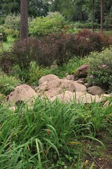 Rocks in the summer rock garden.
