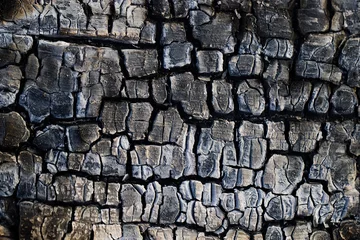 Wandaufkleber Burnt wood texture. Burnt piece of wood in a bonfire. © Grzegorz