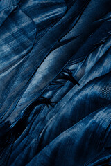 blue feathers with visible texture