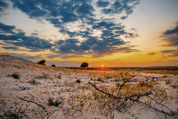 Sunset in the steppe with a dry branch in the foreground and a few trees in the background