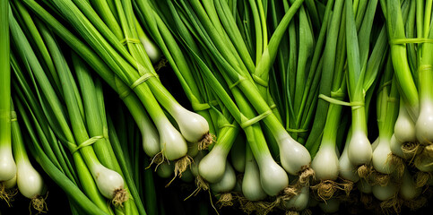Fresh green spring onion vegetables, closeup macro detail from above. Generative AI - obrazy, fototapety, plakaty