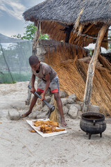 young boy with an axe cutting mokolwane palm tree to boil , outdoors kitchen, house with thatched...