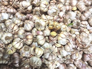 garlic on marker shelf background
