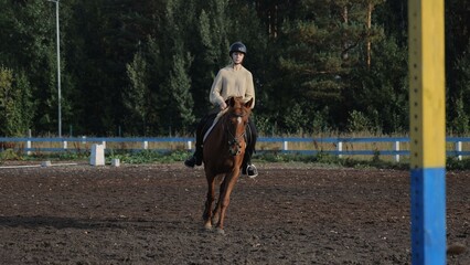 Young woman riding a horse, rides in an equestrian club. Woman equestrian riding a horse on a...