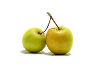 Two green fused apples on a white background