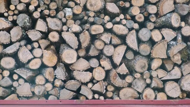 Stacking Firewood. Pile of firewood loggs in a car body. Preparation for winter heating season. Firewood texture background