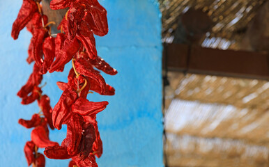 pimientos rojos secándose al sol en un fachada azul de una casa almería 4M0A0986-as23