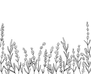 Border of Lavender flower line art drawing. Hand drawn black ink sketch. Design frame for wedding invitation, logo, cards, packaging and labeling. Botanical rustic trendy greenery vector illustration.