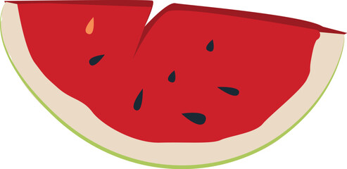 watermelon illustration