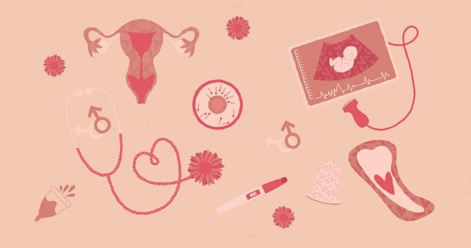 Gynecology and intimate hygiene items for women, reproductive genital system on in pink flowers. Doodle animation in mp4 format, 4K quality