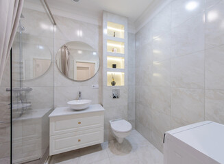 Modern Bathroom Interior. Bathroom Sink, Decoration and Mirror. Shower Glass. Luxury Home