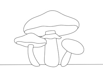 Suillus. One line