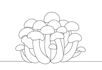 Shimedji. Hypsizygus tessulatus. One line