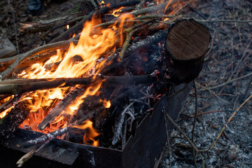 Closeup view of a flames of a fire