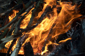 Closeup view of a flames of a fire