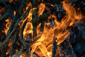 Closeup view of a flames of a fire