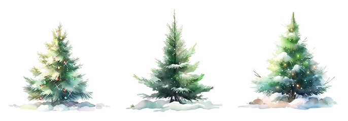 Set of pine green tree for Merry Christmas winter card